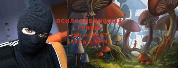 прущая мука Новозыбков