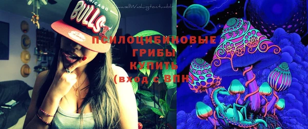 прущая мука Новодвинск