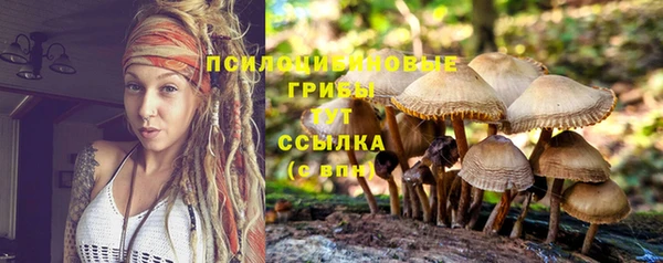 прущая мука Новозыбков