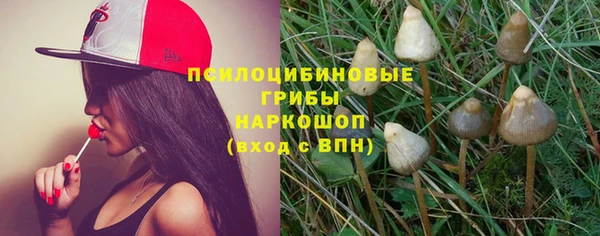 прущая мука Новодвинск