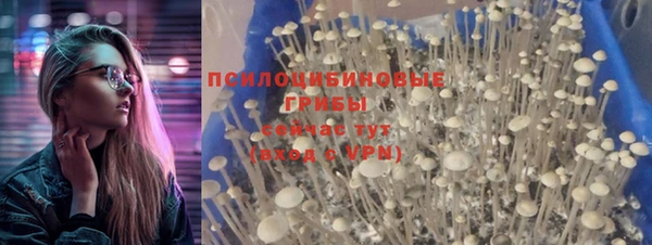 прущая мука Новодвинск