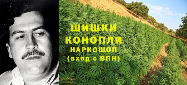 прущая мука Новодвинск