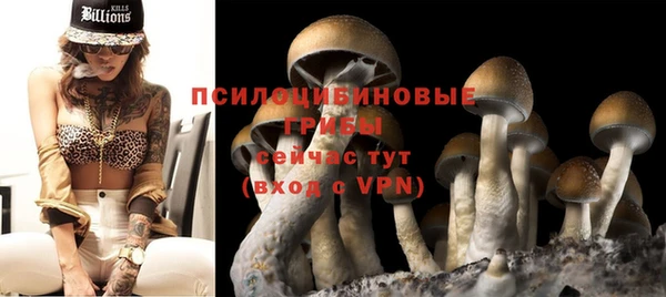 прущая мука Новозыбков