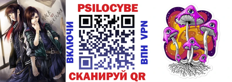магазин продажи Искитим Галлюциногенные грибы Cubensis