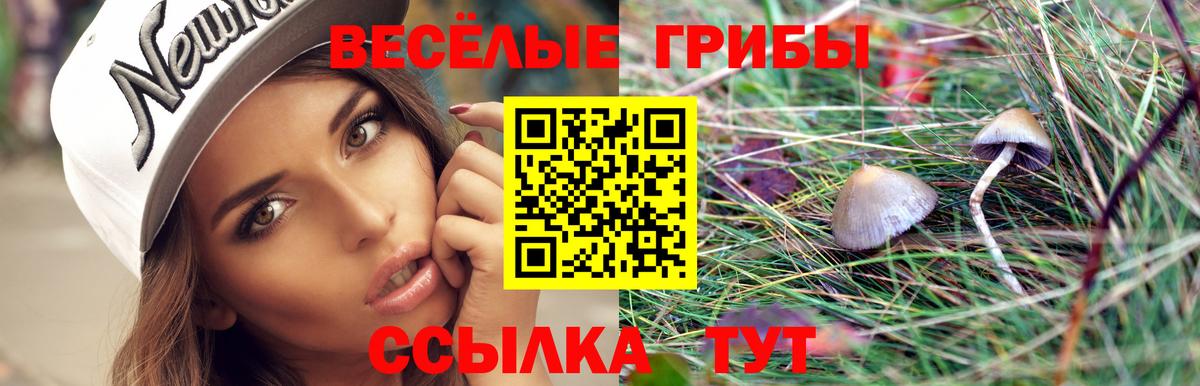 где можно купить   Галлюциногенные грибы GOLDEN TEACHER  Вход с VPN  Галлюциногенные грибы ЛСД  Искитим 
