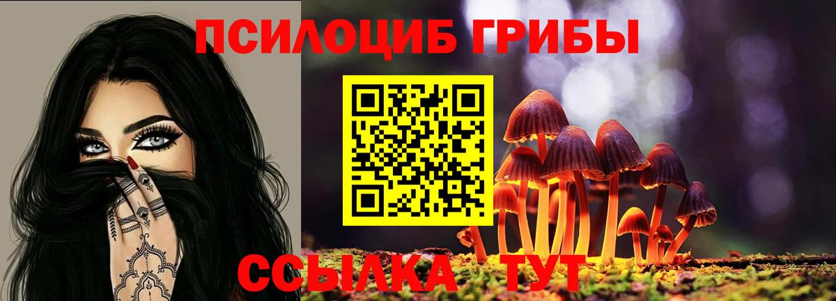 Галлюциногенные грибы ЛСД Искитим